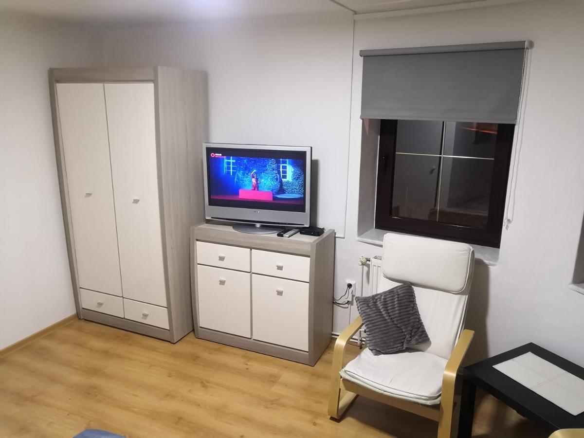 Penzion Ubytovani U Parku S Parkovistem Česká Lípa Extérieur photo
