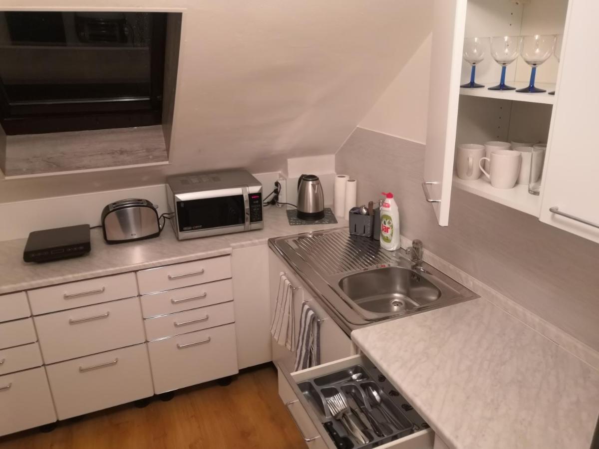 Penzion Ubytovani U Parku S Parkovistem Česká Lípa Extérieur photo